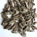 2019  hot sale small size black sunflower seeds with white stripes